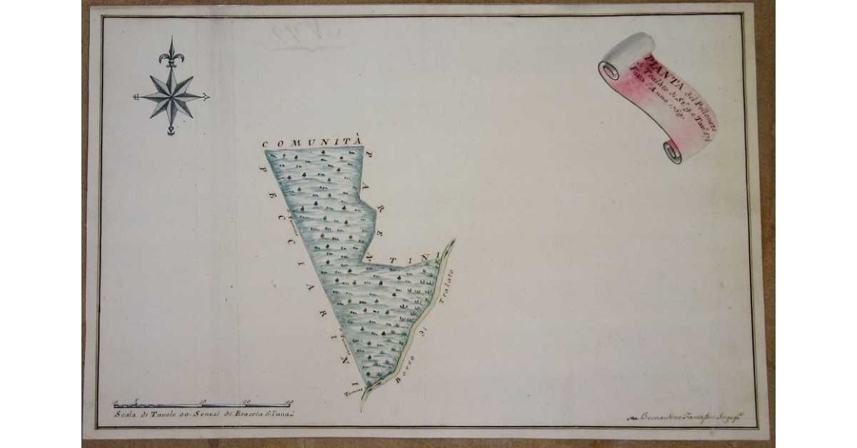 Pianta del Polloneto di Tralàto di Staia 9, e Tavole 67e 1/4