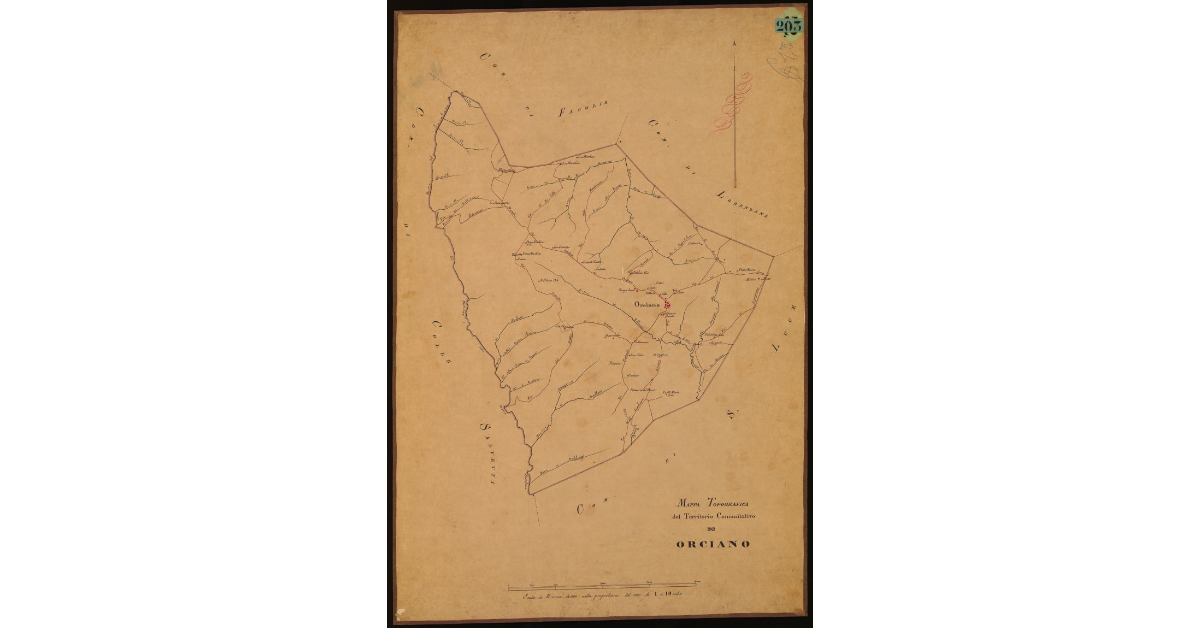 Mappa topografica del territorio comunitativo di Orciano [Pisano]