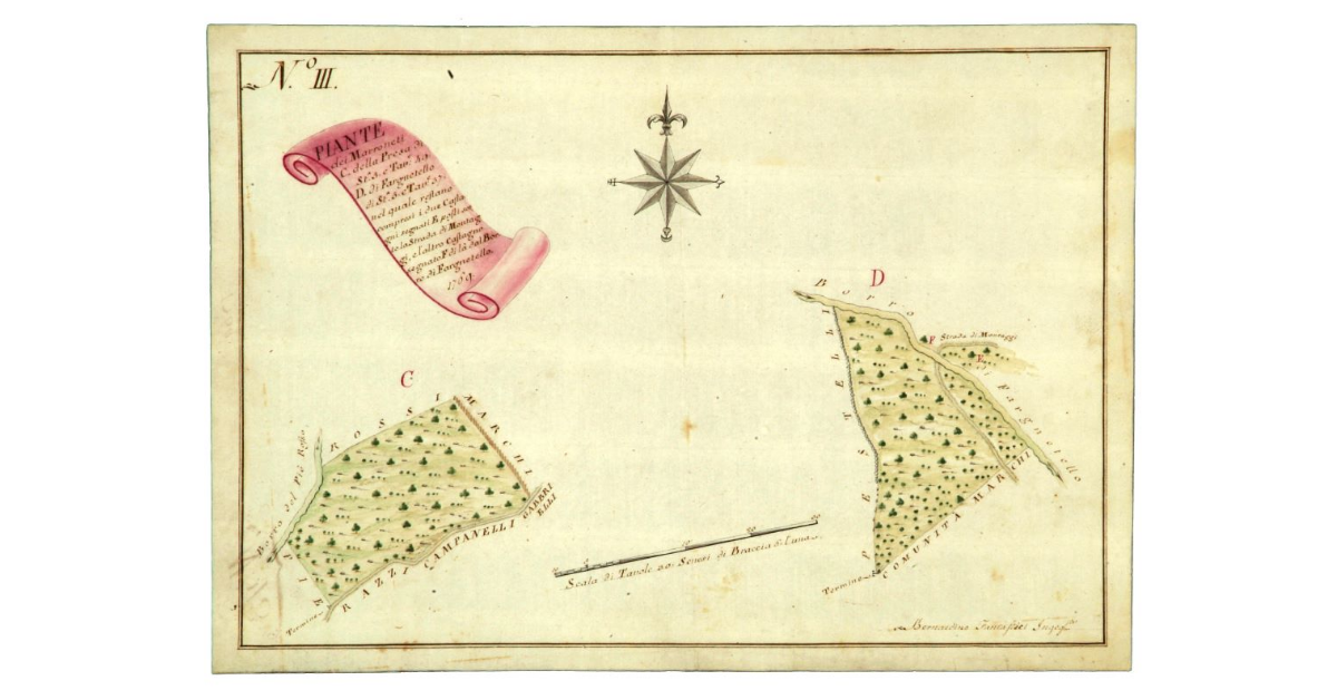 Pianta dei Marroneti C. della Presa di Staia 5, e Tavole 49 D. di Fargnetello di Staia 5 e Tavole 37 nel quale restano compresi i due Castagni segnati E posti sotto la Strada di Montaggi, e l’altro Castagno segnato F di là dal Borro di Fargnetello