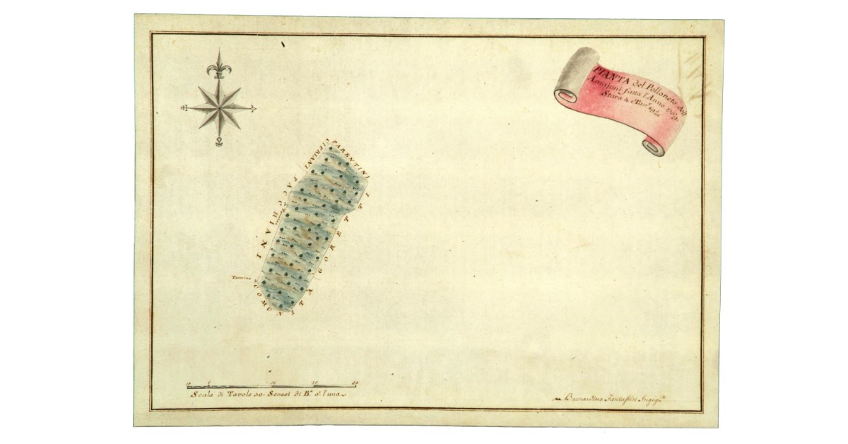 Pianta del Polloneto dell’Amajoni fatta l’Anno 1769, Stara 4 e Tavole 89 1/2