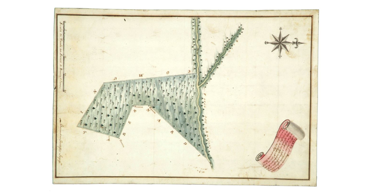 Pianta del Marroneto dell’Amajoni di Staia 17e Tavole 41 nel quale restano compresi N° 35 Castagni à destra e à sinistra del Botrello influente nel Fosso dell’Amajoni, N° altri 15 à sinistra di detto Fosso e N° altri 25 à destra, e a sinistra del Fosso predetto