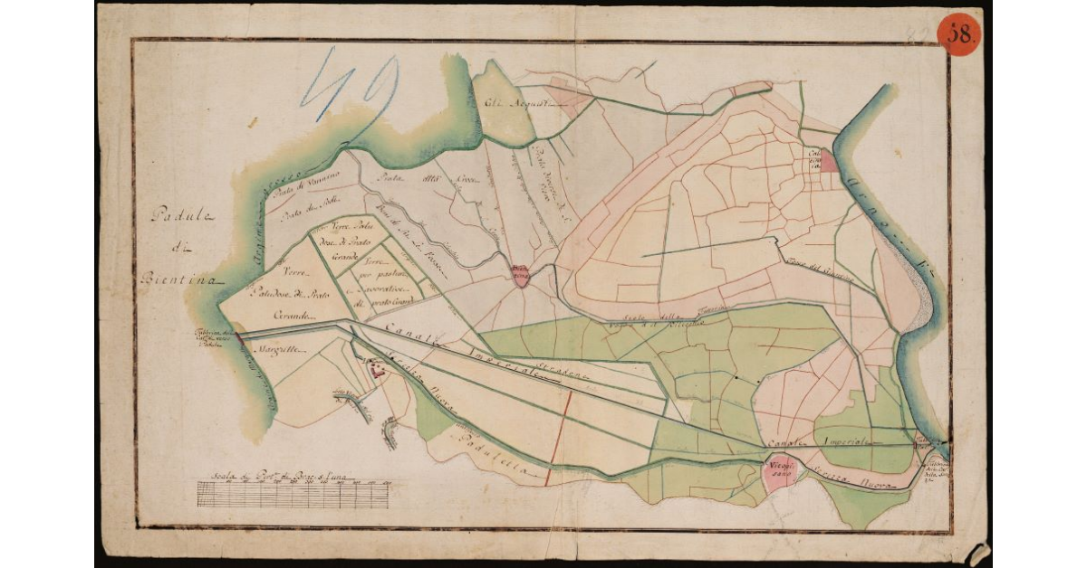 [Pianta del Canale Imperiale e Serezza Nuova, di un tratto di Cilecchio e dello Scolo della Fattoria di Vicopisano]