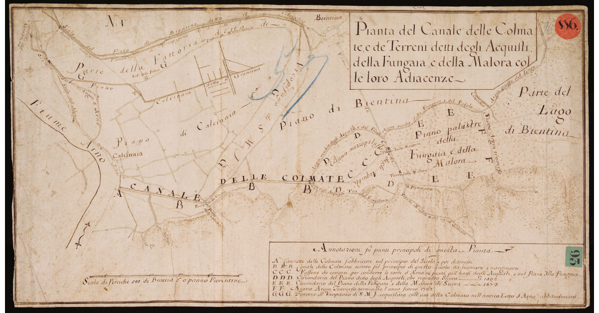 Pianta del Canale delle Colmate di Calcinaia e dei terreni detti degli Acquisti della Fungaia e della Malora colle loro adiacenze
