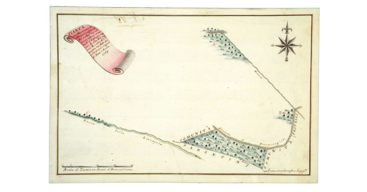 Pianta del Marroneto di Sterminaglia di Stara 4, e Tavole 51, nel quale restano compresi N° 17 Castagni segnati A. altri N° 5 segnati B, e altri N° 7, à sinistra del Fosso della liscajola segnati C