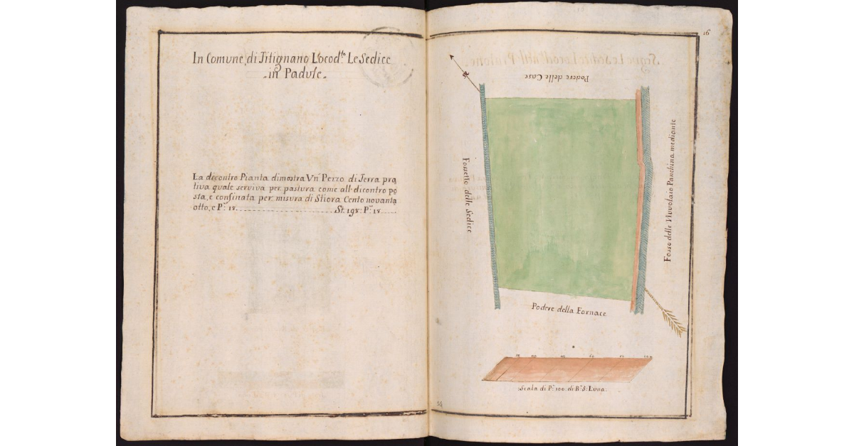 In Comune di Titignano Loco detto Le Sedice in Padule