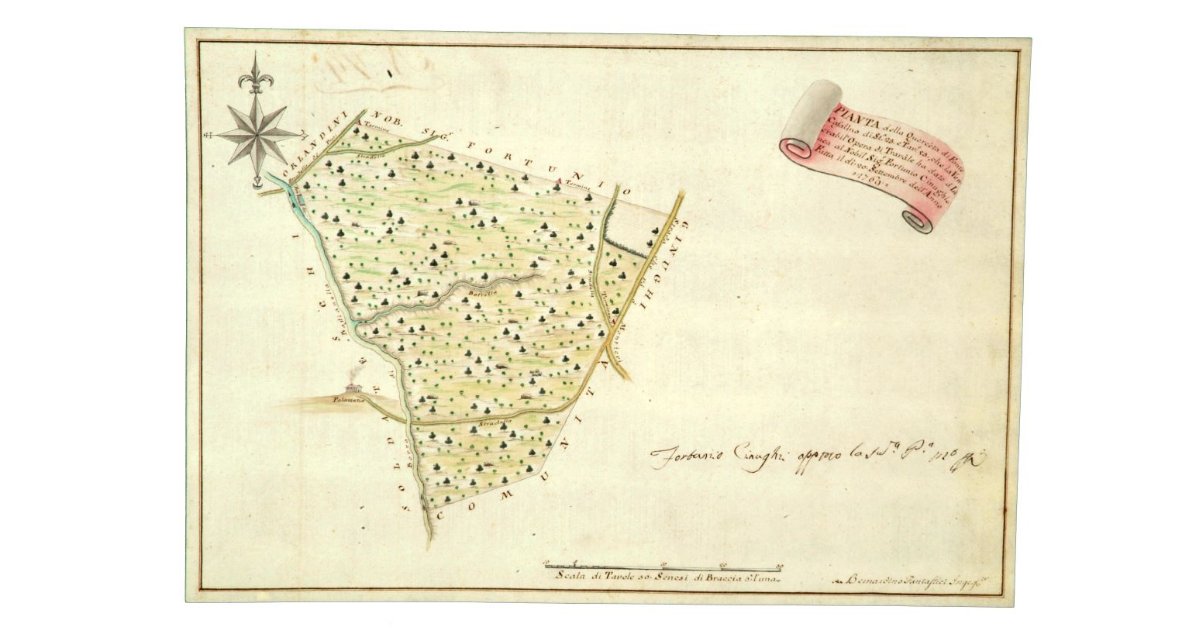 Pianta della Querceta di Fonte Casalino di st.a 23 e Tav.e 53, che la Venerabil' opera di Travale ha dato à Linea al Nobil Sig.r Fortunio Cinughi