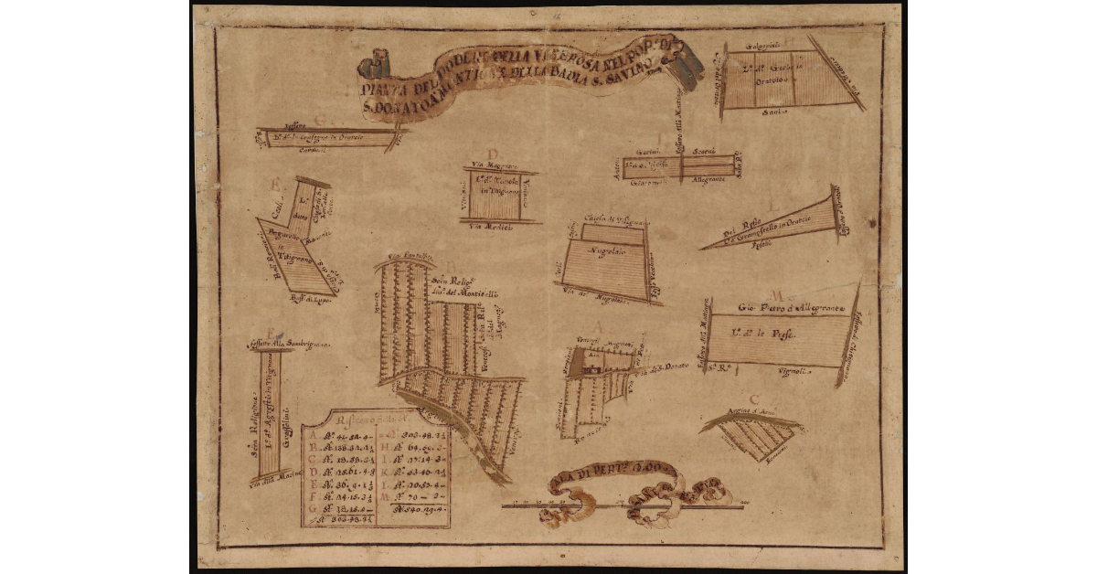 Pianta del Podere della Venerosa nel popolo di S. Donato a Montione della Badia di S. Savino
