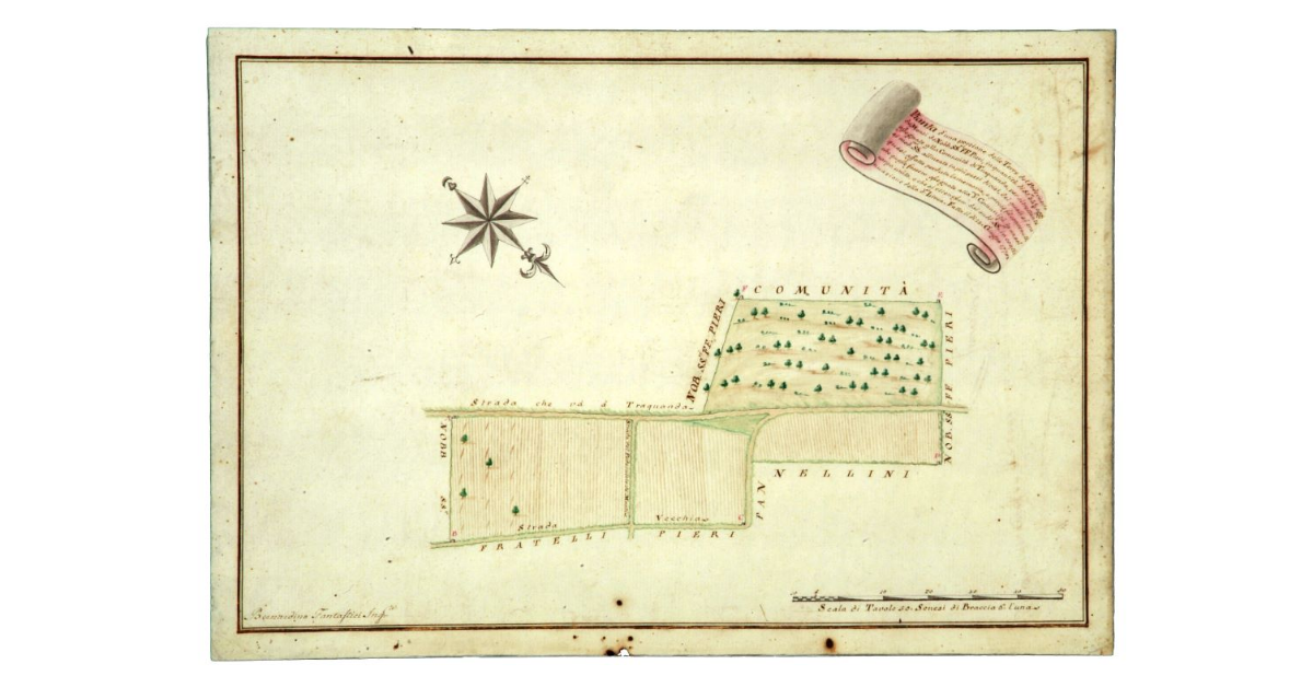 Pianta d'una porzione delle Terre del Poderuccio de Monti de Nobb. SS.ri. FF. Pieri, in qualità di St.a 34 5/8