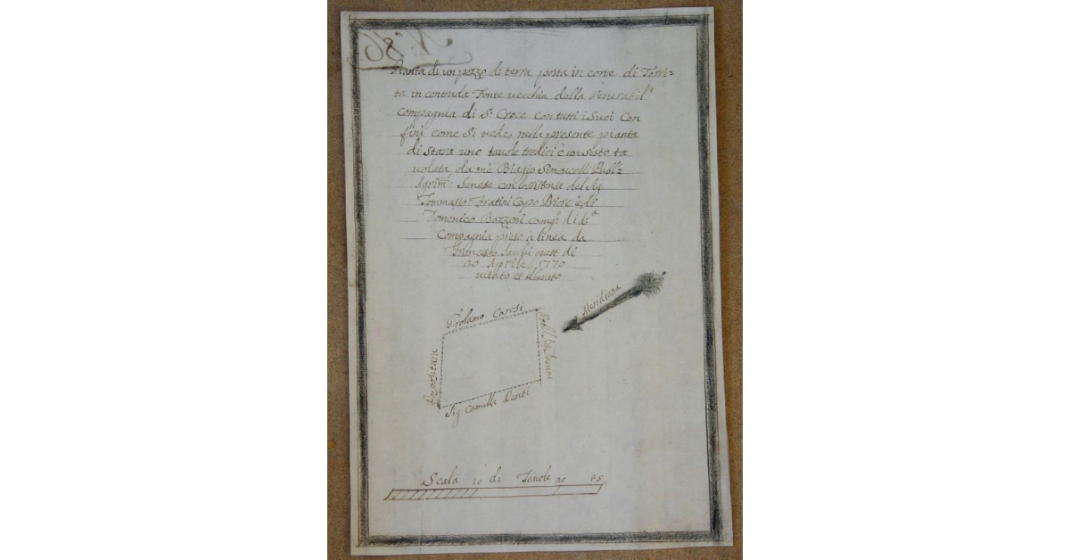 Pianta di un pezzo di Terra posta in corte di Torrita, in contrada Fonte vecchia della Venerabil Compagnia di S. Croce con tutti i suoi confini come si vede nella presente pianta di stara una tavole tredici e un sesto tavolata da me Biagio Simoncelli Publ.agrimensore senese con l'assistenza del Signor Tommasso Fratini Capo Priore e di Domenico Bazzoni Camg.o di d.a compagnia presa a linea da Francesco Sacchi