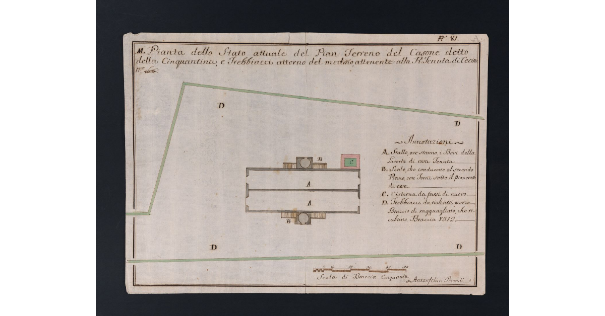 Pianta dello Stato attuale del Pian Terreno del Casone detto della Cinquantina, e Trebbiacci attorno del medesimo, attenente alla R. Tenuta di Cecina