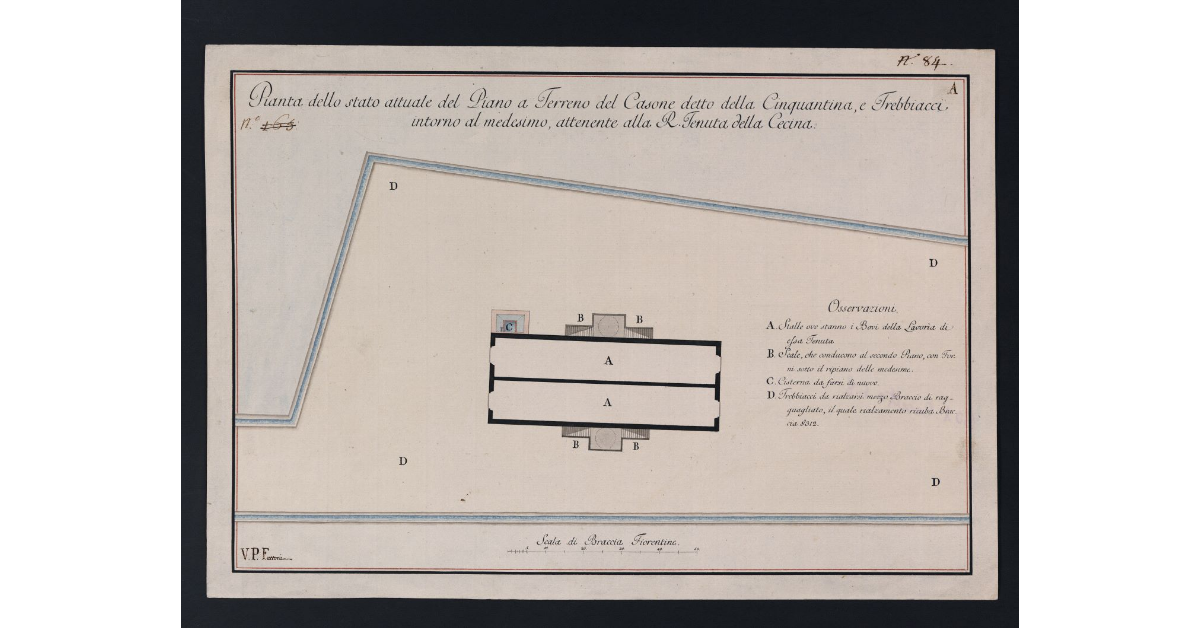 Pianta dello stato attuale del Piano a Terreno del Casone detto della Cinquantina, e Trebbiacci intorno al medesimo, attenente alla R. Tenuta della Cecina