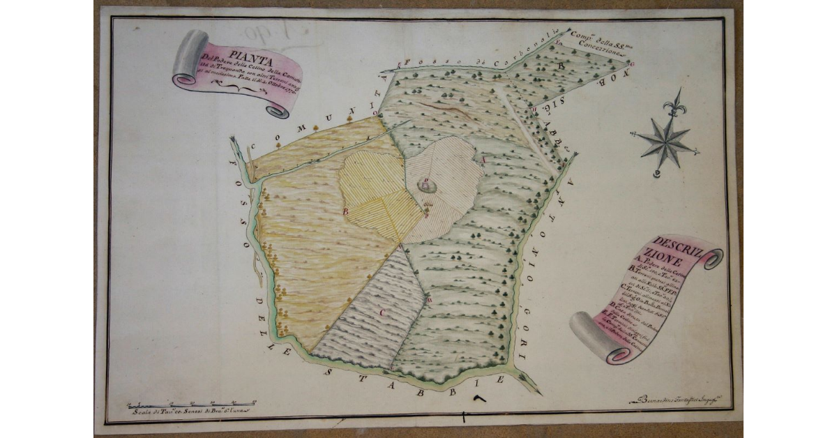 Pianta del Podere delle Cetine della Comunità di Trequanda con altri terreni annessi al medesimo