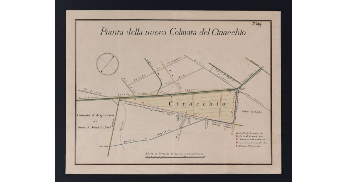 Pianta della Nuova Colmata del Cinacchio