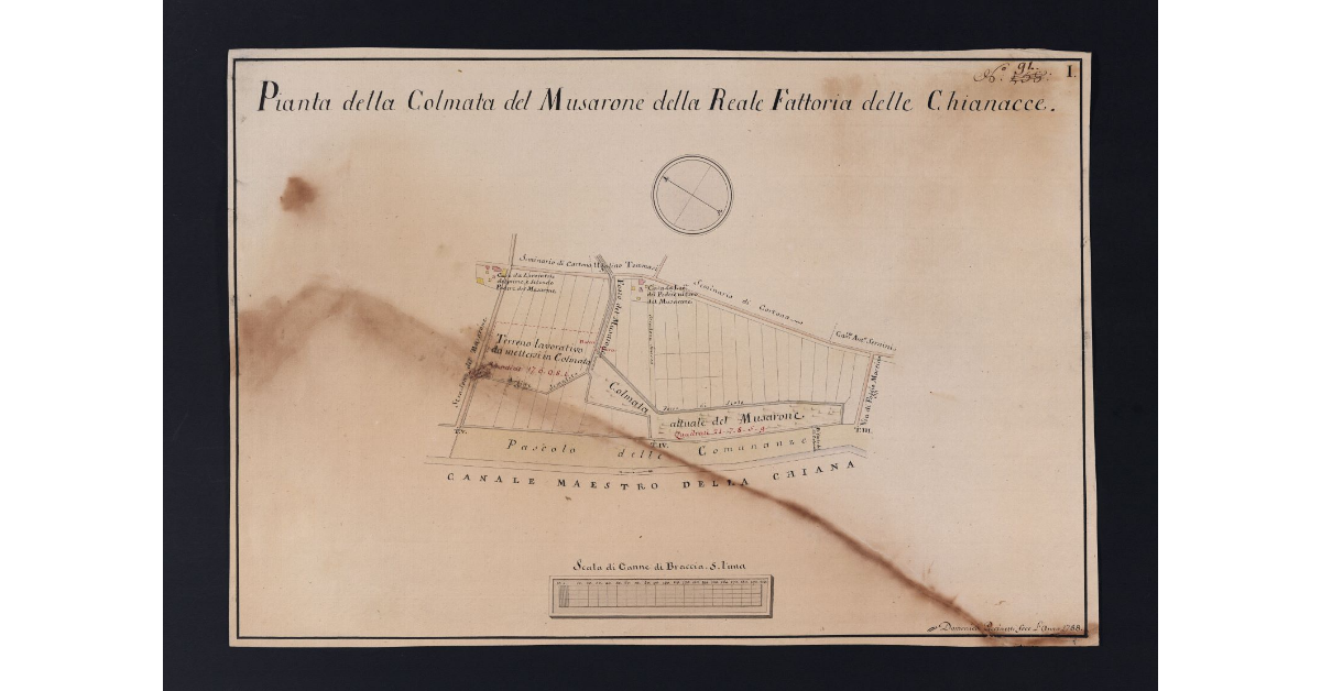 Pianta della Colmata del Musarone della Reale Fattoria delle Chianacce