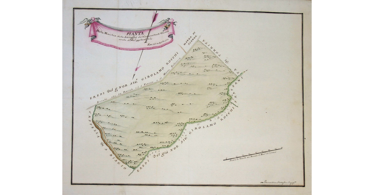 Pianta Della Macchia delle Lunghe del Comunello di Guardavalle di Stara 199 Tavole 75 e 5/6