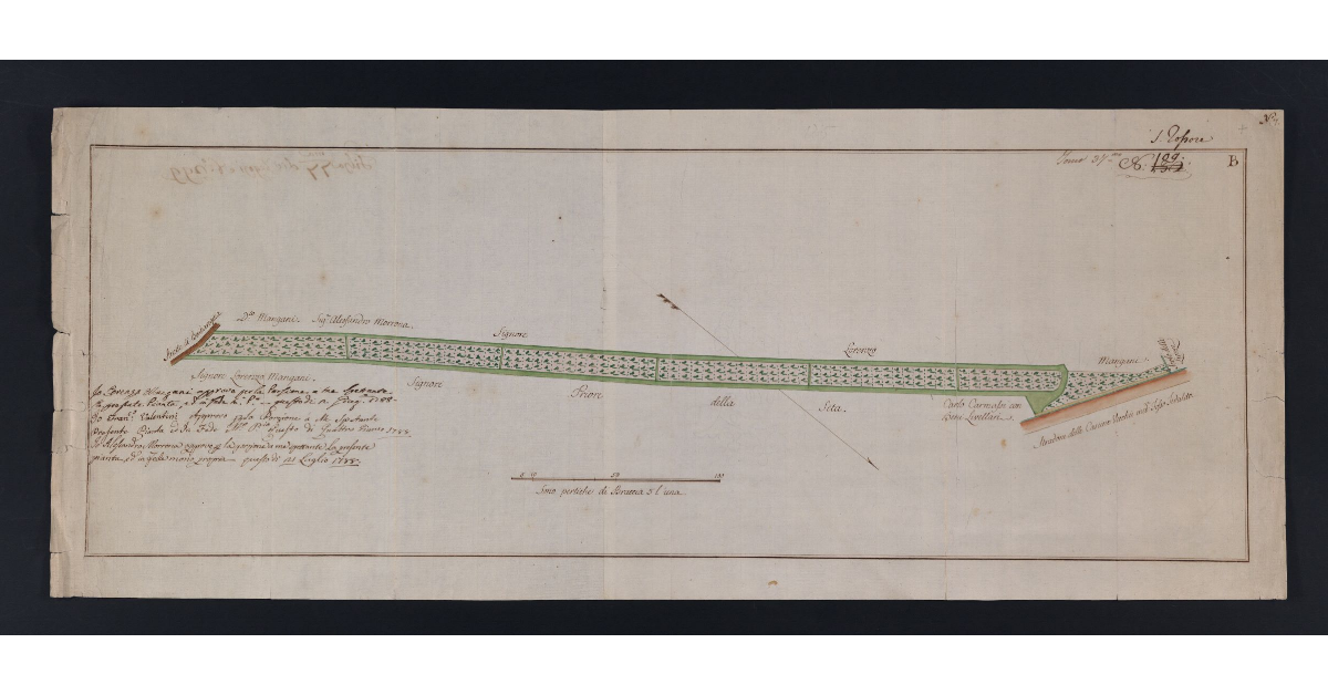 [Pianta di una striscia di terreno ad uso di ragnaia da esporsi ad incanto]