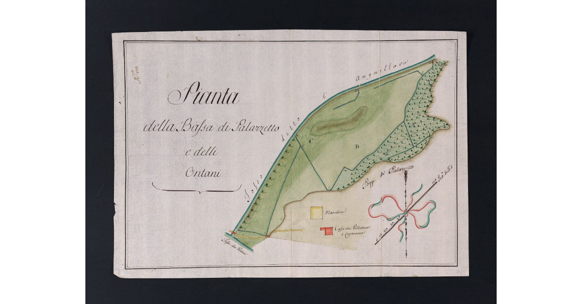 Pianta della Bassa di Palazzetto e delli Ontani