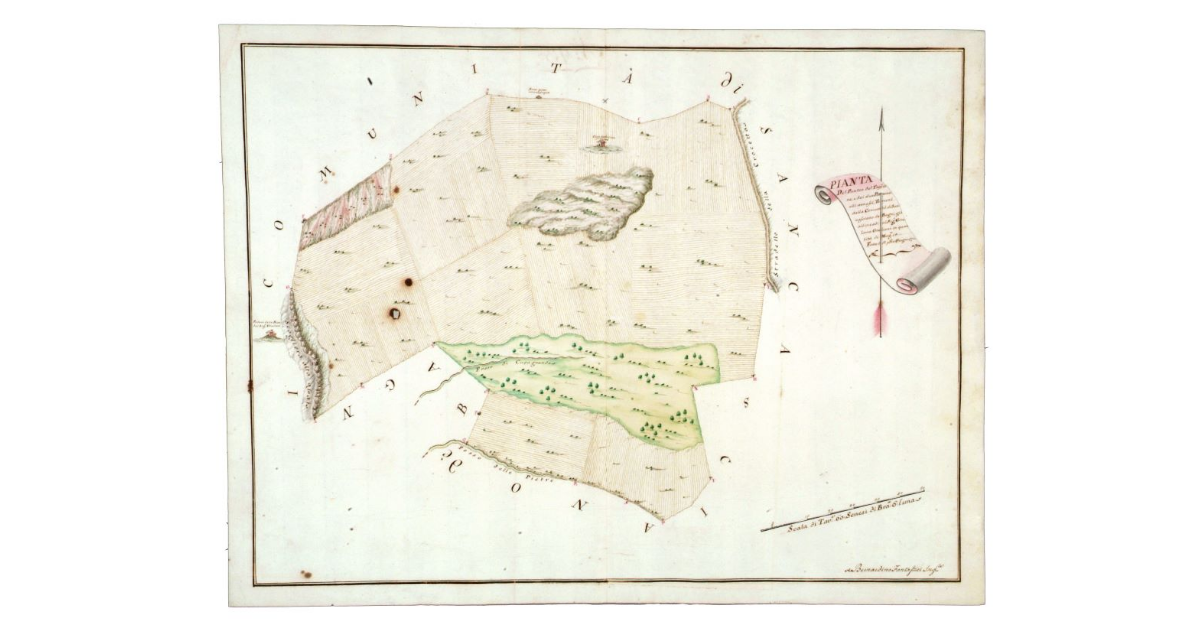 Pianta del Punton del Troscione,e dei due Puntoncelli annessi, Terreni delle Comunità di Sancasciano de Bagni, già allienati al Sig.r Girolamo Giuliani in quantità di Mog.a