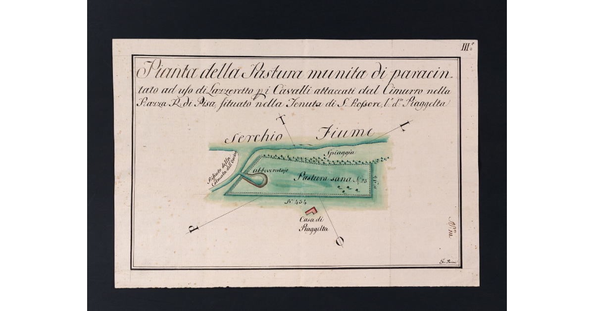 Pianta della Pastura munita di paracintato ad uso di Lazzeretto per i Cavalli attaccati dal Cimurro nella Razza R. di Pisa, situato nella Tenuta di S. Rossore, luogo detto Piaggelta