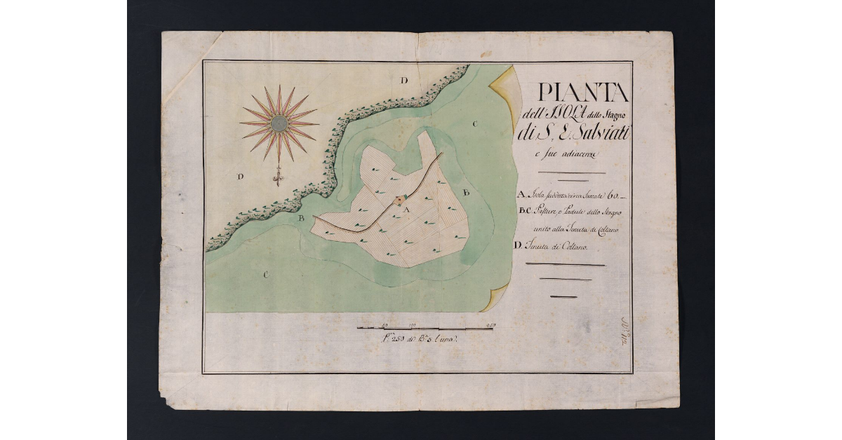 Pianta dell'Isola dello Stagno di S. E. Salviati e sue adiacenze