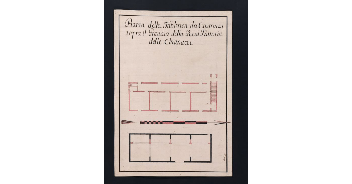 Pianta della Fabbrica da Costruirsi sopra il Granaio della Real fattoria delle Chianacce