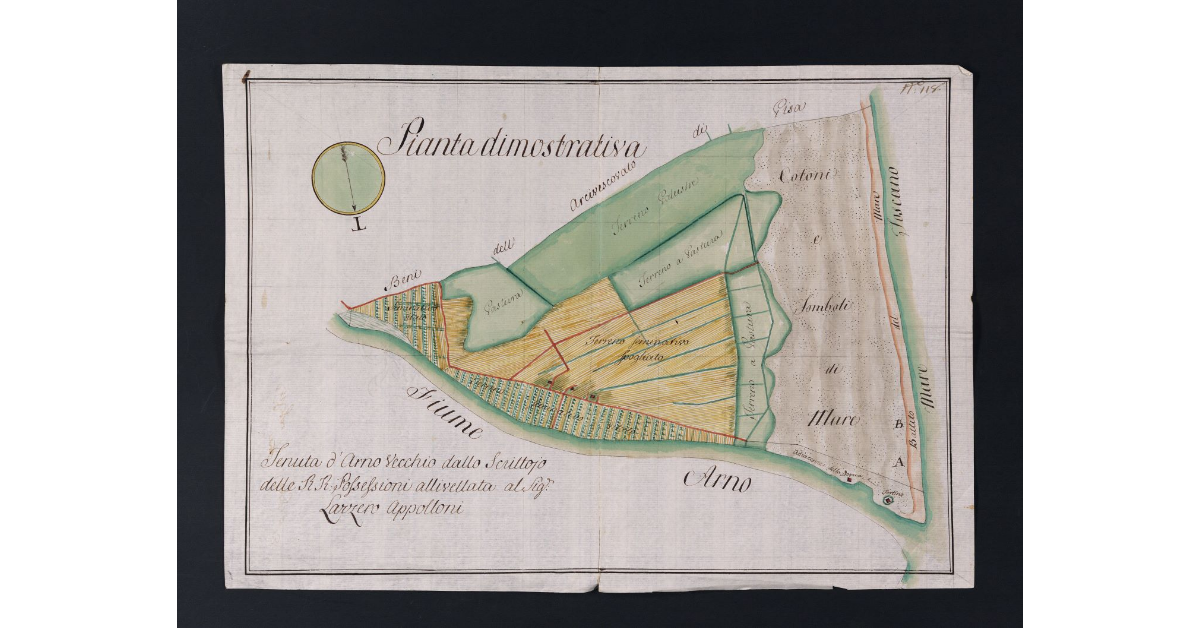 [Pianta della tenuta d'Arno Vecchio]
