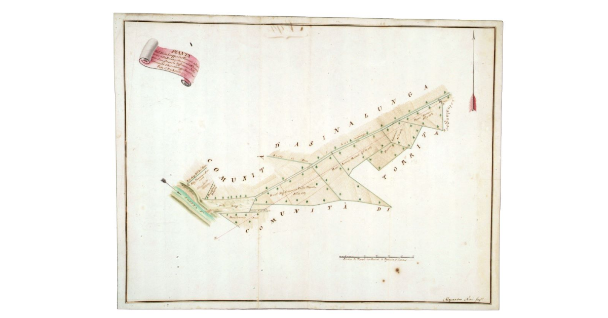 Pianta del Sodo largo, e dei Terreni adjacenti alla Strada che và alla Chiana per dimostrare le differenze delle Comunità di Asinalunga, e Torrita
