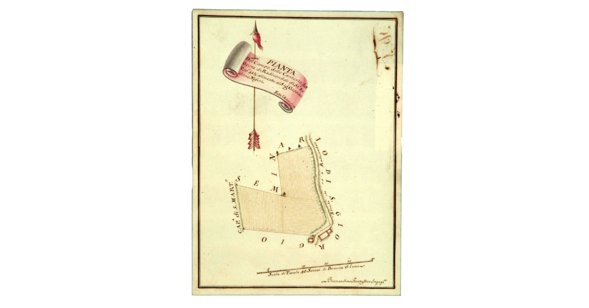 Pianta Del Campo delle Canterì e dell'Opera di Radicondoli di St.a 8, Tav.e 48 3/8 allineato al Sig.r Giovacchino Noferi