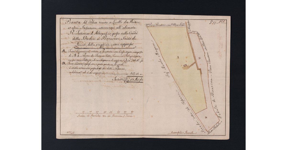 Pianta del Podere tenuto a Livello da Andrea, et altri Stefanini attenente all'alienata R. Fattoria di Altopascio, posto nella Comunità della Badia a Pozzeveri, Stato di Lucca, della superficie, come appresso
