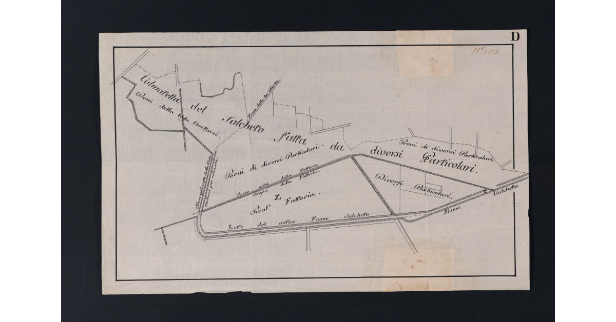 [Pianta della colmatella del Salcheto]