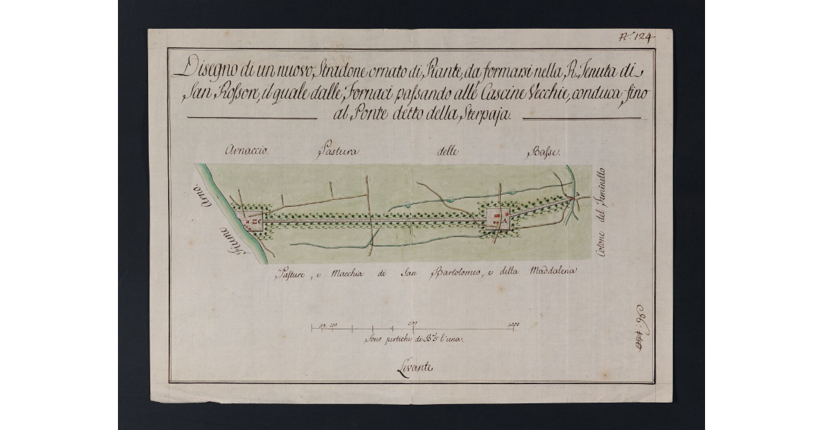 Disegno di un nuovo Stradone ornato di Piante, da formarsi nella R. Tenuta di S. Rossore, il quale dalle Fornaci passando alle Cascine Vecchie, conduca fino al Ponte detto della Sterpaja