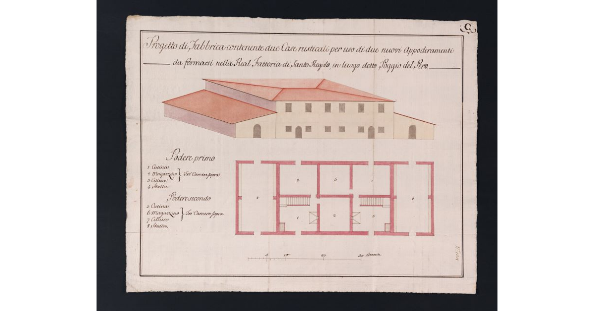 Progetto di fabbrica contenente due Case rusticali per uso di due nuovi Appoderamenti da formarsi nella Real Fattoria di Santo Regolo, in luogo detto Poggio al Pero