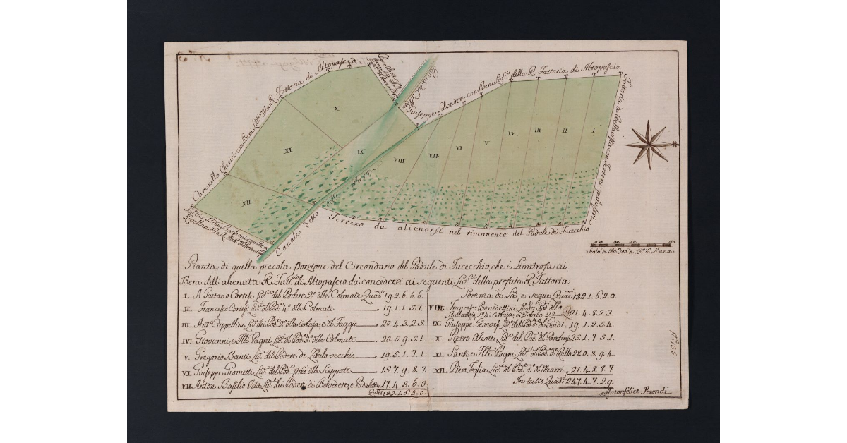 Pianta di quella piccola porzione di Circondario del Padule di Fucecchio, che è Limitrofa ai Beni dell'alienata R. Fattoria di Altopascio da concedersi ai seguenti livellari della prefata R. Fattoria