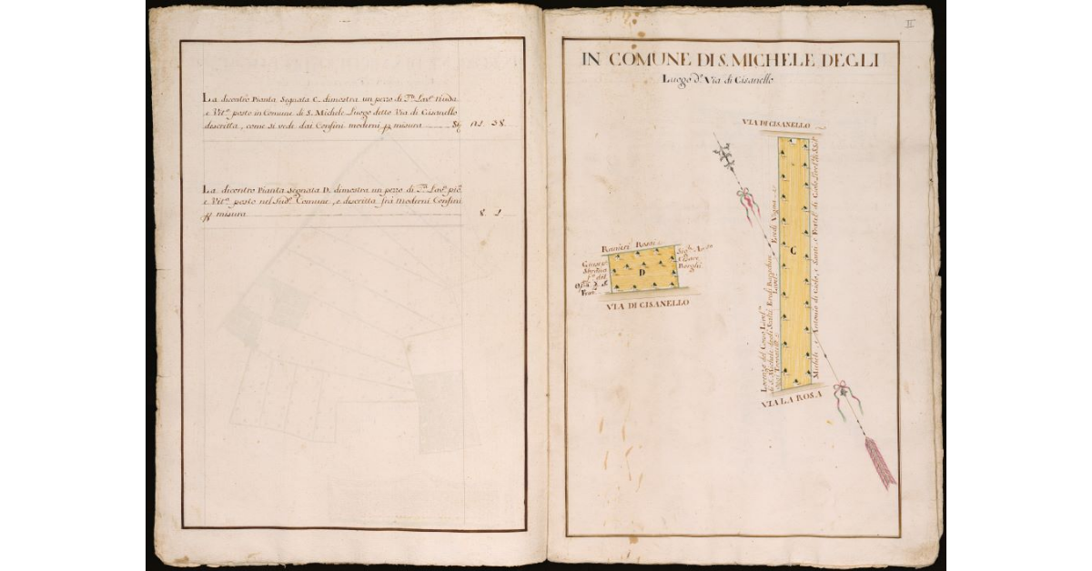 Luogo detto Via di Cisanello