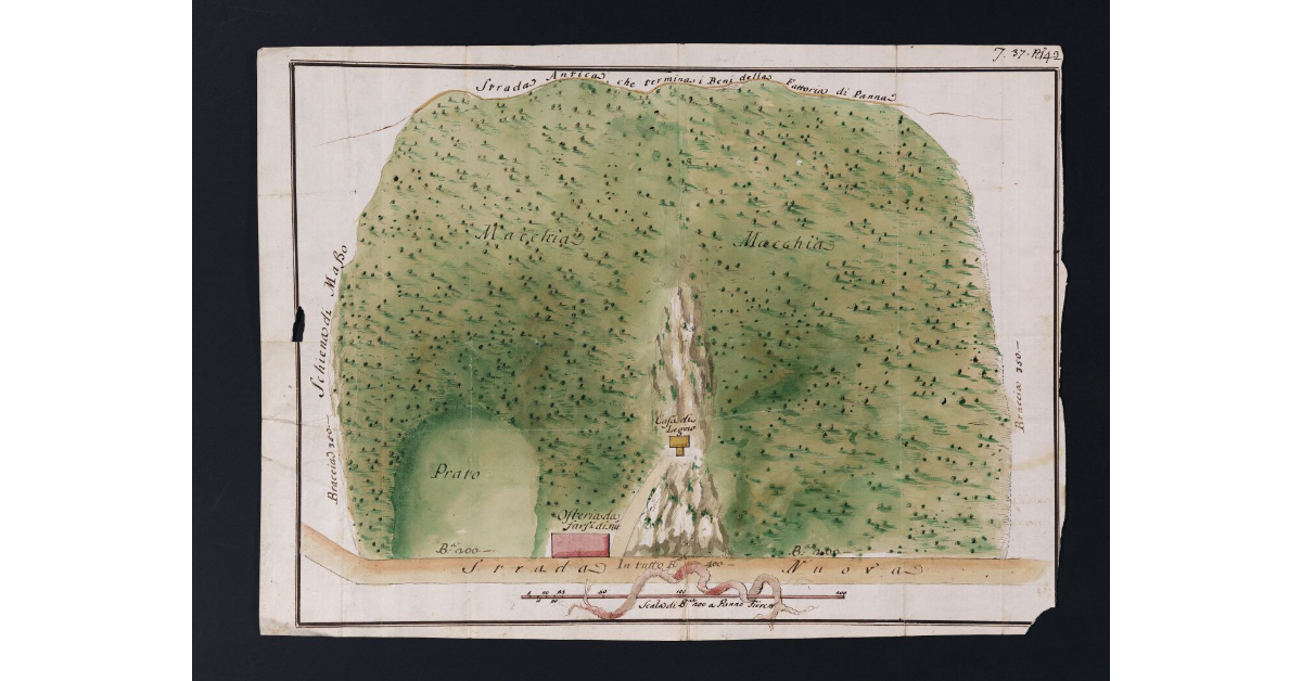 [Pianta di un appezzamento di terreno appartenente alla fattoria di Panna, posto sul monte Fò lungo la nuova strada Bolognese]