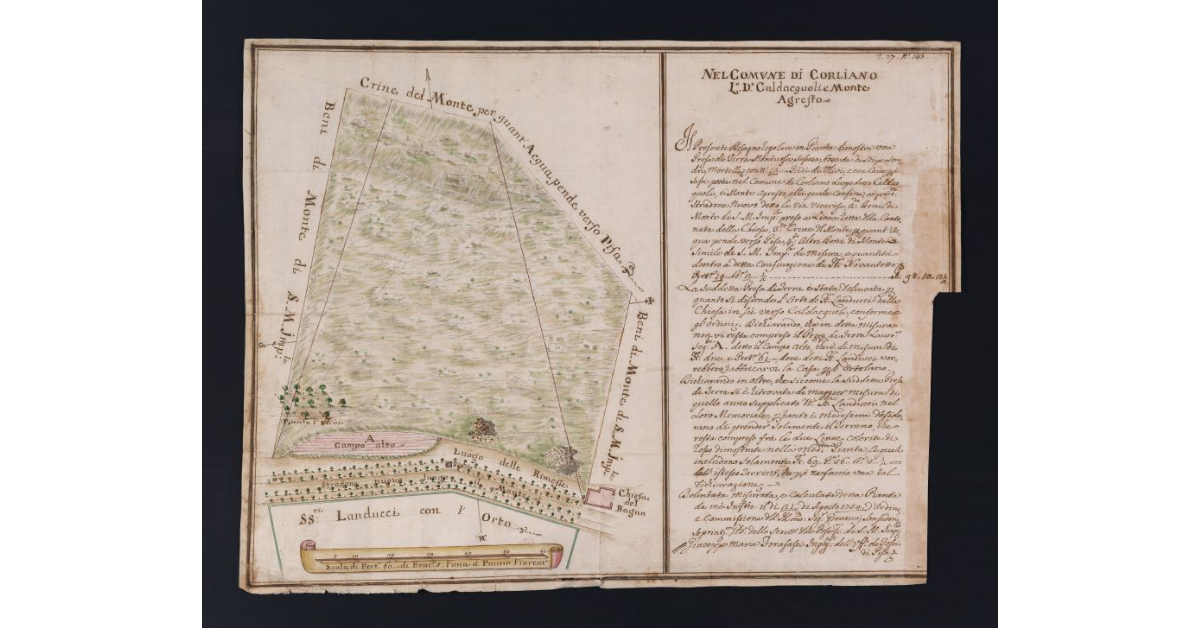[Pianta di un appezzamento di terreno montuoso posto nel comune di Corliano in località Caldacquoli e Monte Agresto]