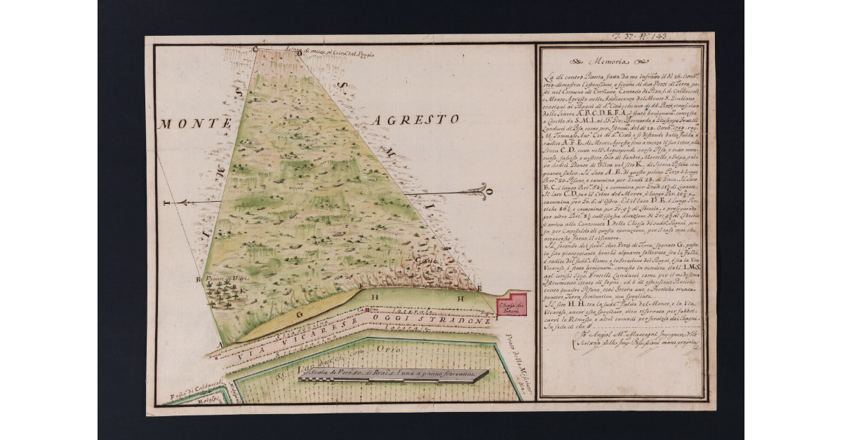 [Pianta di due appezzamenti di terreno posti nel comune di Corliano in località Caldaccioli e Monte Agresto]