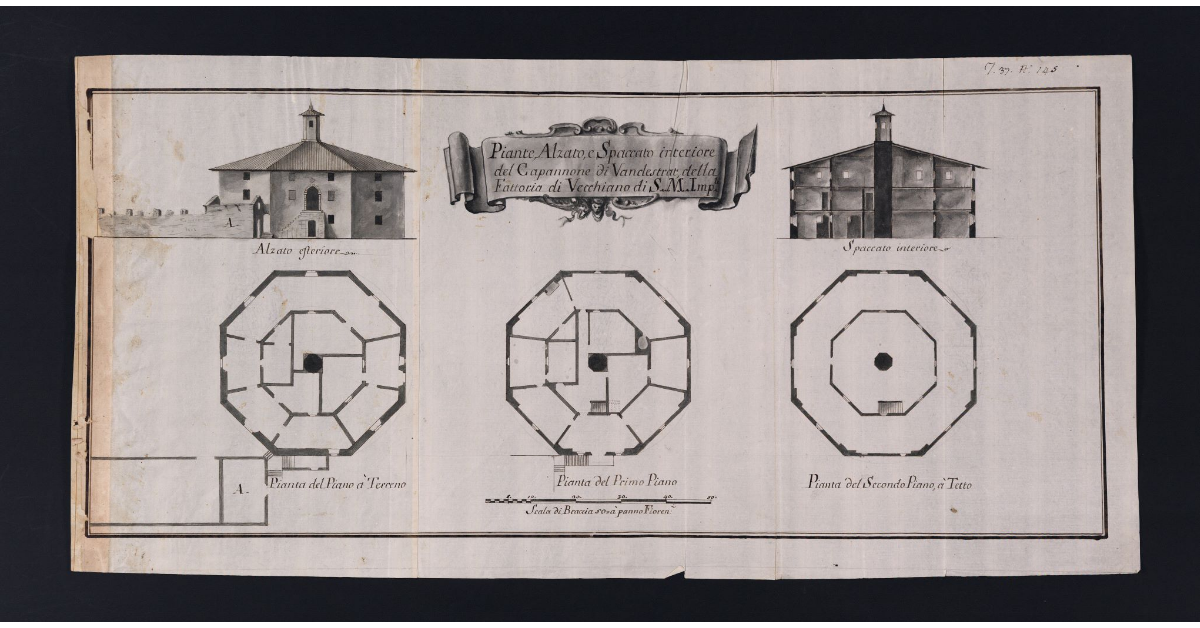 Piante, Alzato, e Spaccato interiore del Capannone di Vandestrat, della Fattoria di Vecchiano di S.M. Imperiale