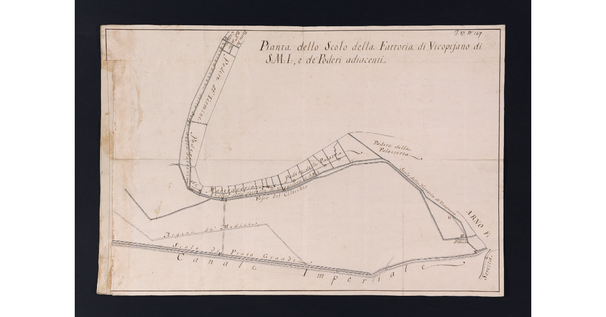 Pianta dello Scolo della Fattoria di Vicopisano di S.M.I., e de' Poderi adiacenti