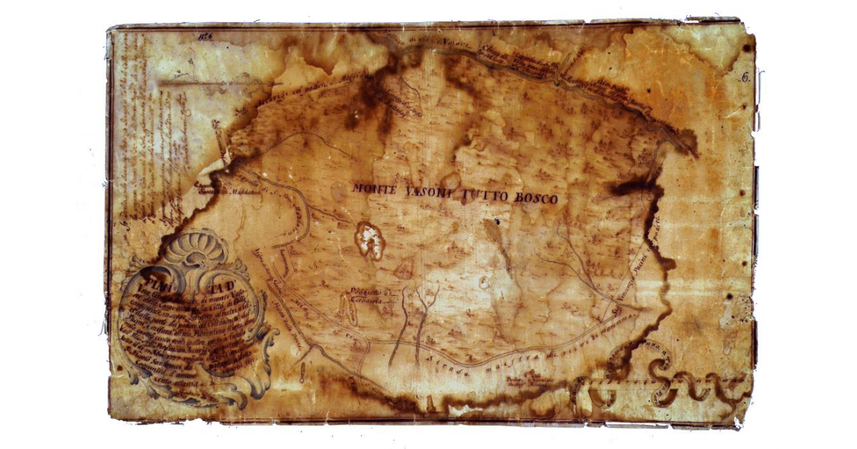 Pianta di una tenuta di terre di Monte Vasone della comunità della città di Colle consistente in scope, ginestre, albatri e lecci dalla parte del podere di Celidonica, del Pacini