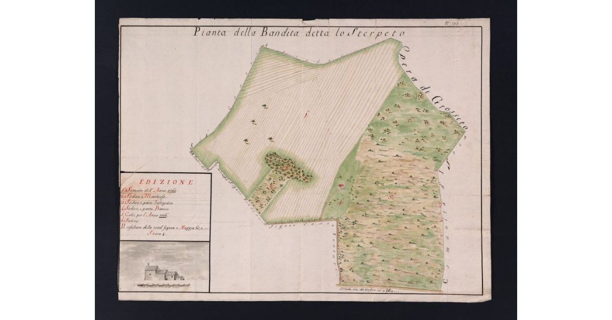 Pianta della Bandita detta lo Sterpeto