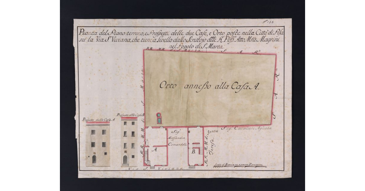 Pianta del Piano terreno, e Prospetti delle due Case, e Orto poste nella Città di Pisa su la Via S. Viviana, che tiene a Livello dallo Scrittoio delle Reali Possessioni Antonio Maria Magrini nel Popolo di S. Marta