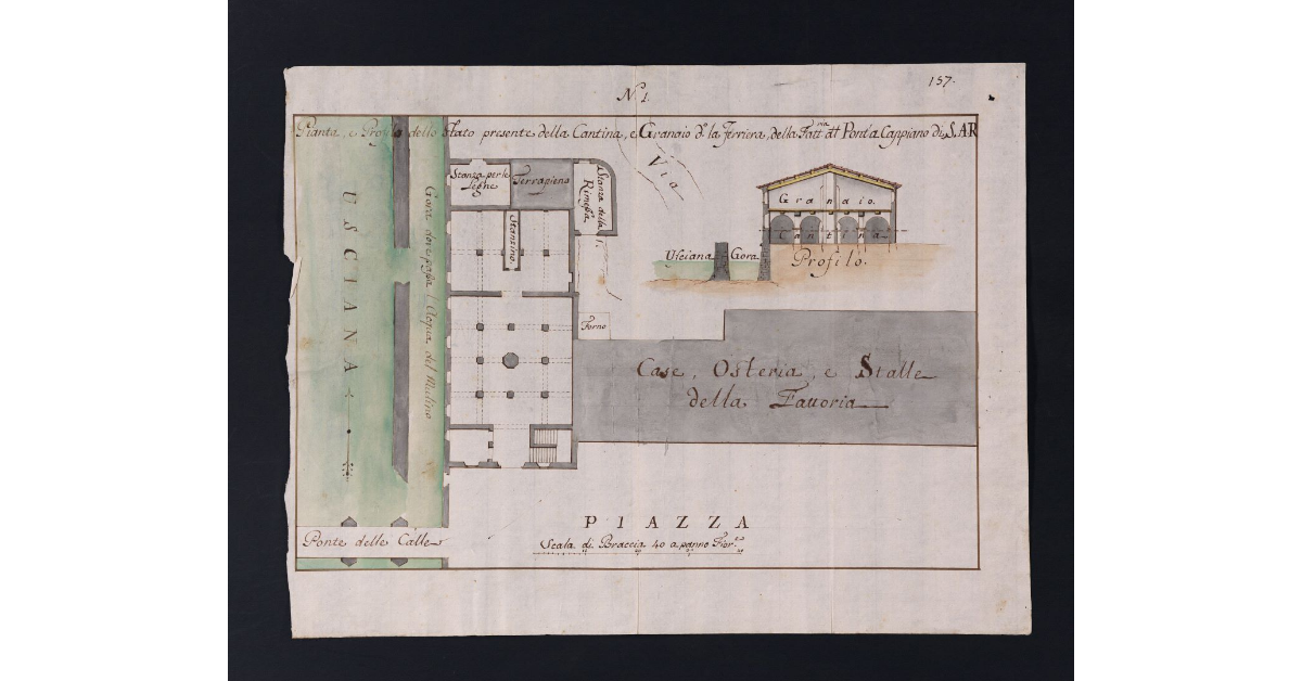 Pianta, e Profilo dello stato presente della Cantina, e Granaio detto la Ferriera della Fattoria del Ponte a Cappiano di S.A.R