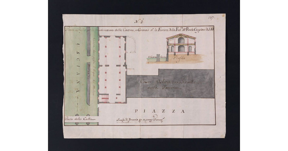 Pianta, e Profilo per la rimodernazione della Cantina, e Granaio detto la Ferriera della Fattoria del Pont'a Cappiano