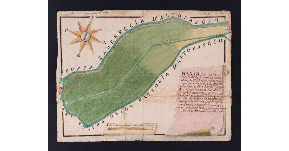 [Pianta di alcune terre poste in Padule, Luogo detto le Saggine, nel Popolo dei S. Jacopo a l'Altopascio, Comunità di Monte Carlo, di proprietà della Mansione della Fattoria d'Altopascio di S.A.R. concesse a livello a Francesco Manzoli]