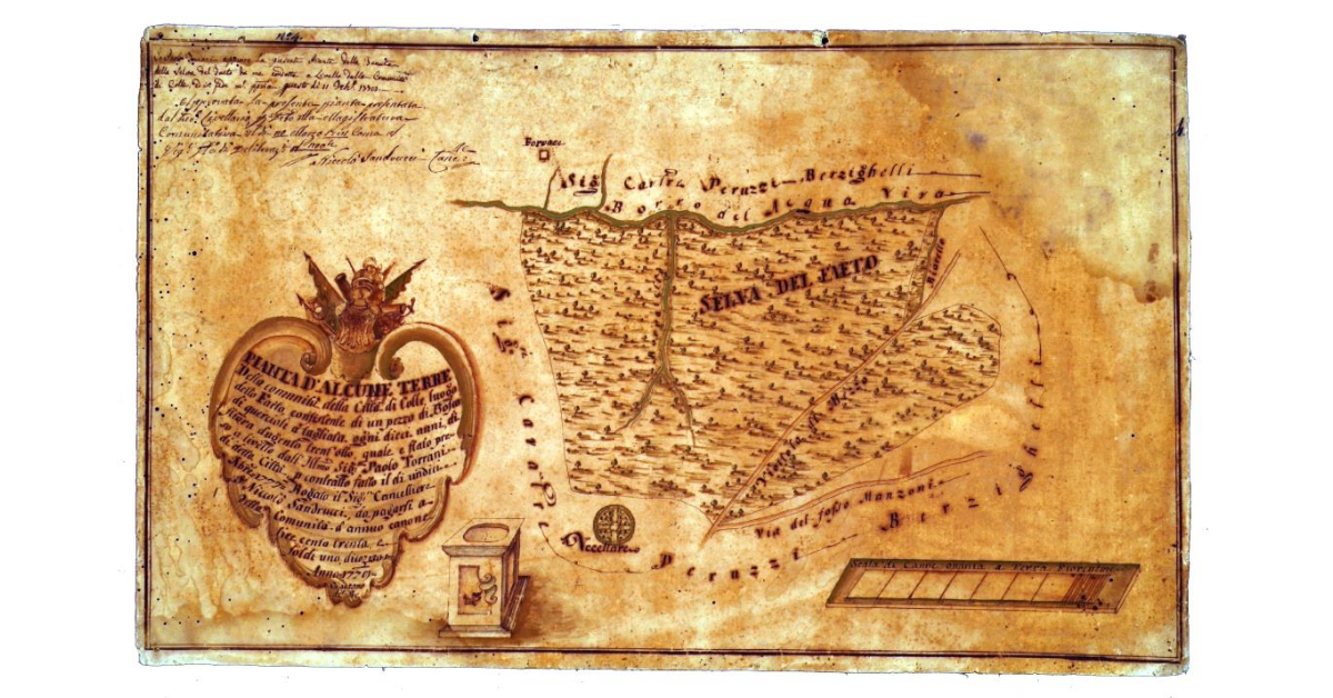 Pianta d'alcune terre della comunità della città di Colle luogo detto Faeto ...