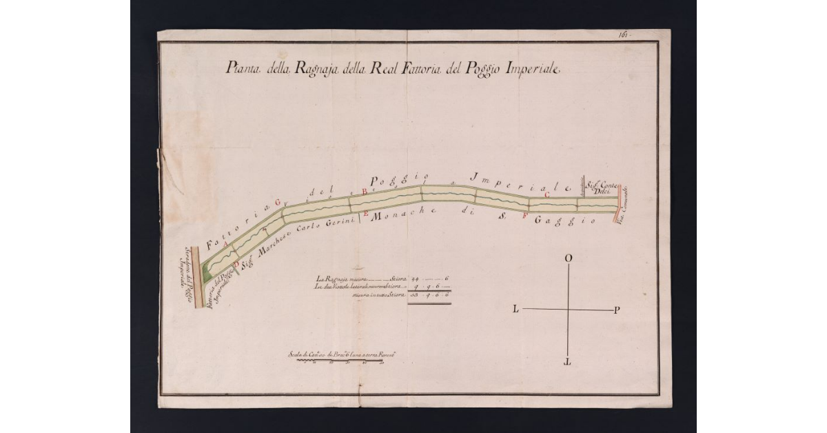 Pianta della Ragnaja della Real Fattoria del Poggio Imperiale