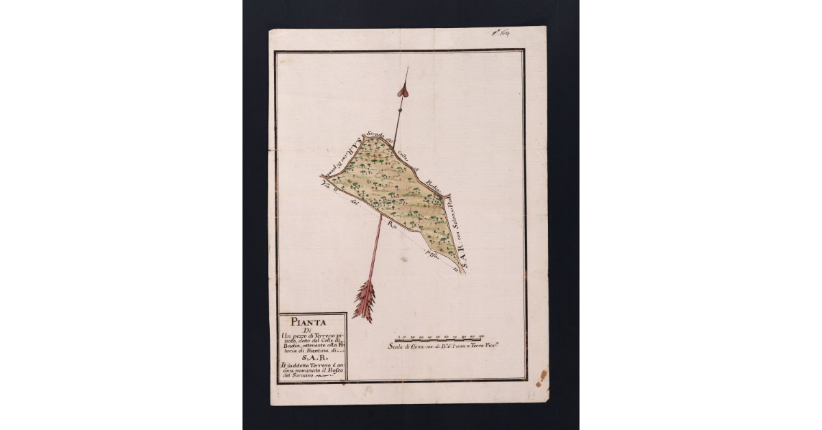 Pianta di un pezzo di Terreno pinato detto del Colle di Badia, attenente alla Fattoria di Bientina di S.A.R