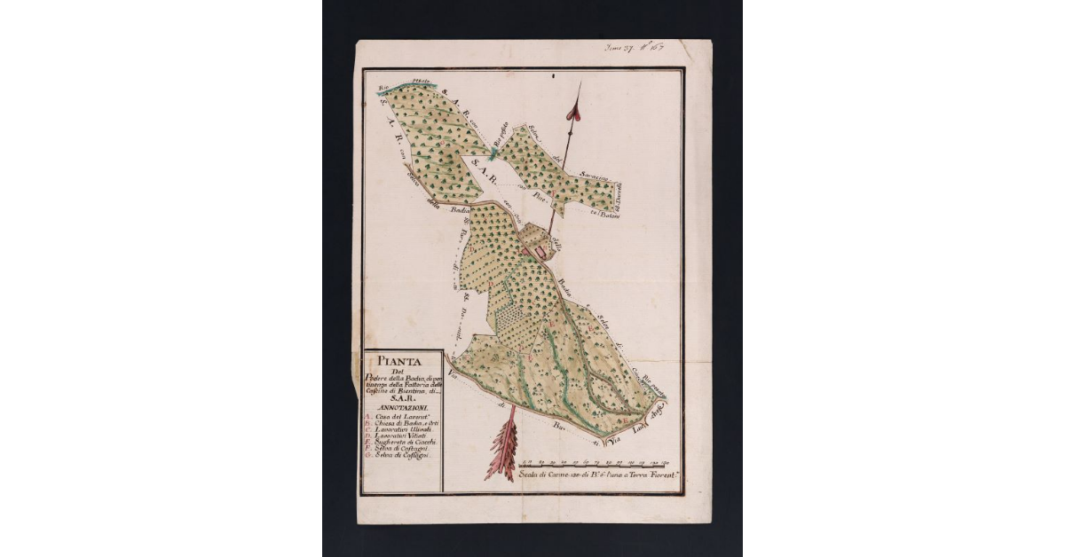 Pianta del Podere della Badia, di pertinenza della Fattoria delle Cascine di Bientina, di S.A.R