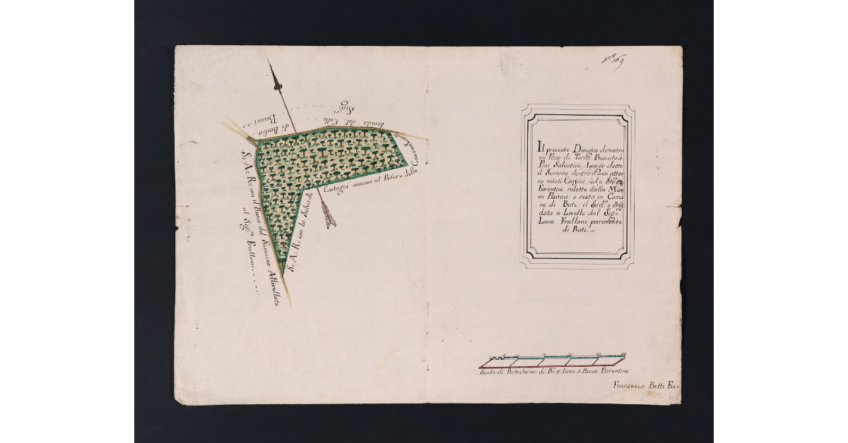[Pianta di un pezzo di terra di pertinenza della fattoria di Bientina concesso a livello a Luca Frullani]